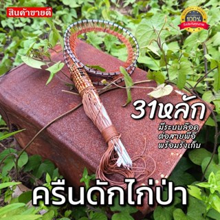 ครืนดักไก่ 31หลัก ครืนทางไก่ป่า บ่วงดักไก่ป่า ที่ดักไก่ป่า หลักยาว7นิ้ว บ่วง5นิ้ว หลักชุบเสตลเลส สีน้ำตาล สีดำ