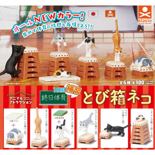 กาชาปองแมวเล่นยิมนาสติก Gashapon Cat &amp; School’s Jumping Box Animal Attraction Figure