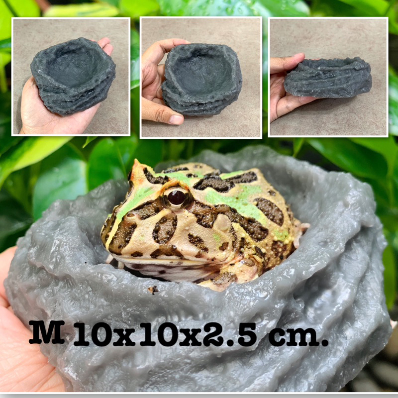 บ่อน้ำตกแต่งตู้เลี้ยงสัตว์ ถาดอาหารสัตว์ - รูปที่ 5