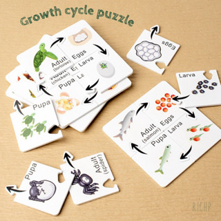 พร้อมส่ง🔥ชุดเรียนรู้วงจรชีวิตสัตว์ต่างๆ ในชุดมี 7 แบบ growth cycle puzzle