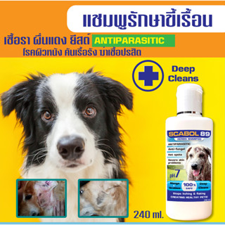 🔥สินค้าขายดี🔥แชมพูSCABOL(สูตรสำหรับสุนัข) แก้คัน ขนร่วง ขี้เรื้อน เชื้อรา ยีตส์ ผิวหนังแดง 240 ml.