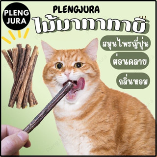 ก้านมาทาทาบิไม้แมวเมา แบบแท่ง มาทาทาบิ ขัดฟันมาทาบิ สำหรับแมว แคทนิปญี่ปุ่น ไม้แมวเมา ไม้ขัดฟัน ก้านมาทาทาบิ ไม้แปรงฟัน