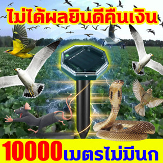 🦅10000เมตรไม่มีนก🦅ไล่นกพิราบ ไม่จำเป็นต้องใช้ไฟฟ้า เครื่องไล่นกพิราบ ที่ไล่นกพิราบ 10ปีไม่มีนก เหยี่ยวไล่นกพิราบ