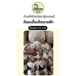 เชื่อเห็ดนางฟ้าภูฐาน