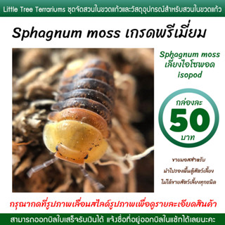 Sphagnum moss เกรดพรีเมี่ยม เลี้ยงไอโซพอด isopod กล่องละ 50 บาท