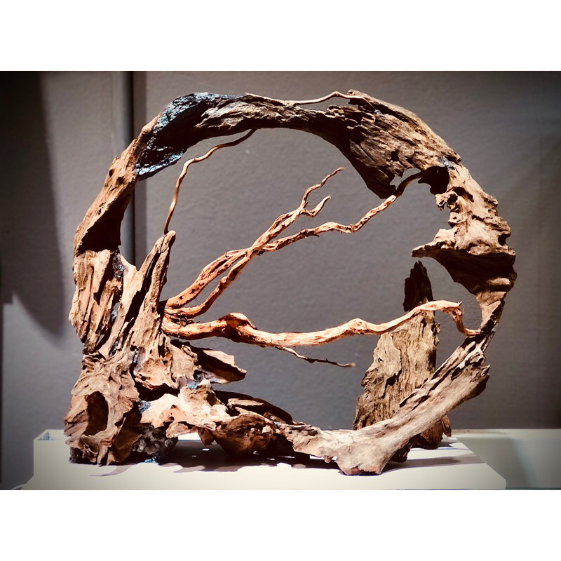 layout ตู้ไม้น้ำ No.03(sold out)