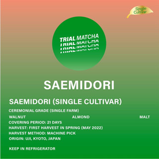 TRIAL MATCHA | ผงมัทฉะอุจิสายพันธุ์เดี่ยว Saemidori Single cultivar