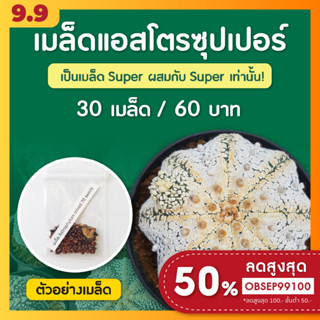 เมล็ดแคคตัส เมล็ดแอสโตร ซุปเปอร์ คาบูโตะ ชุดล่ะ 30+ เมล็ด (Astro Super)