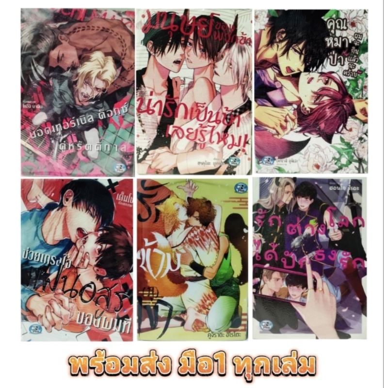 การ์ตูนวาย CN มือหนึ่ง [Lot.3] เล่มเดียวจบ มังงะวาย มือ1 หนังสือการ์ตูนวาย y มังงะy อนิเมะวาย หนังสื