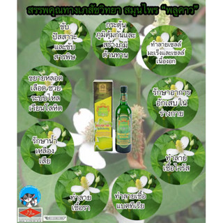 น้ำสมุนไพรคอลดาต้า2 (Cordata)สูตร2 น้ำพลูคาวผลิตสารสกัดธรรมชาติสอง ลดราคา ขวดพลาสติก คาวตอง สูตรซุปเปอร์ทู แถมถ้วยตวง