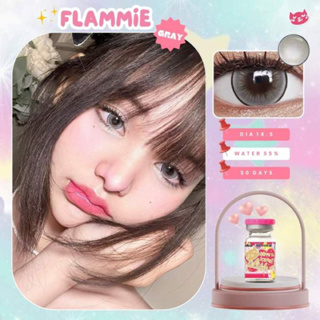 คอนเเทคเลนส์ Kittykawaii Flammie gray (dia 14.5)