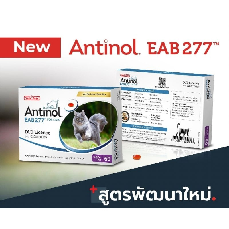 Antinol Cat (Exp.11/2024) แอนทินอล อาหารเสริม บำรุงข้อ ช่วยลดการระคายเคืองที่ผิวหนัง สารสกัดจากธรรมชาติ 59 เม็ด