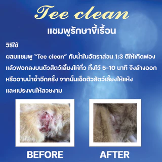 แชมพูTee Clean250ml.ขี้เรื้อน คุ้มค่า สำหรับสุนัขที่เป็นขี้เรื้อน อาบสะอาด