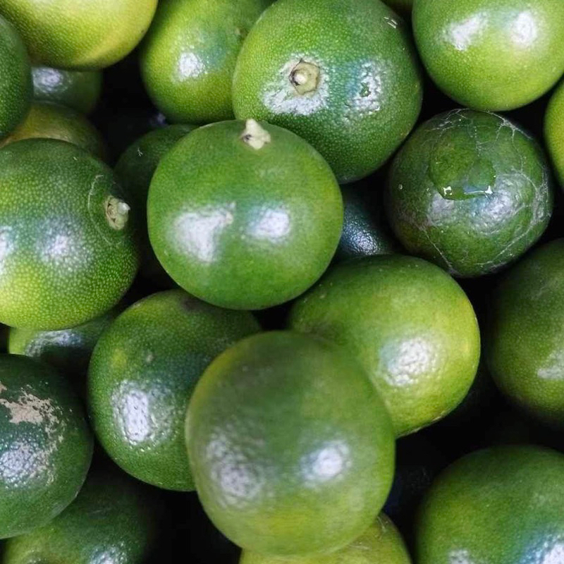 รูปภาพ 3