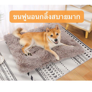 ที่นอนสัตว์เลี้ยง เบาะนอน สุนัข 🐕 แมว 🐈 เตียงนอน ขนฟูนุ่ม 🍀☘️กลิ้งนอนสบาย