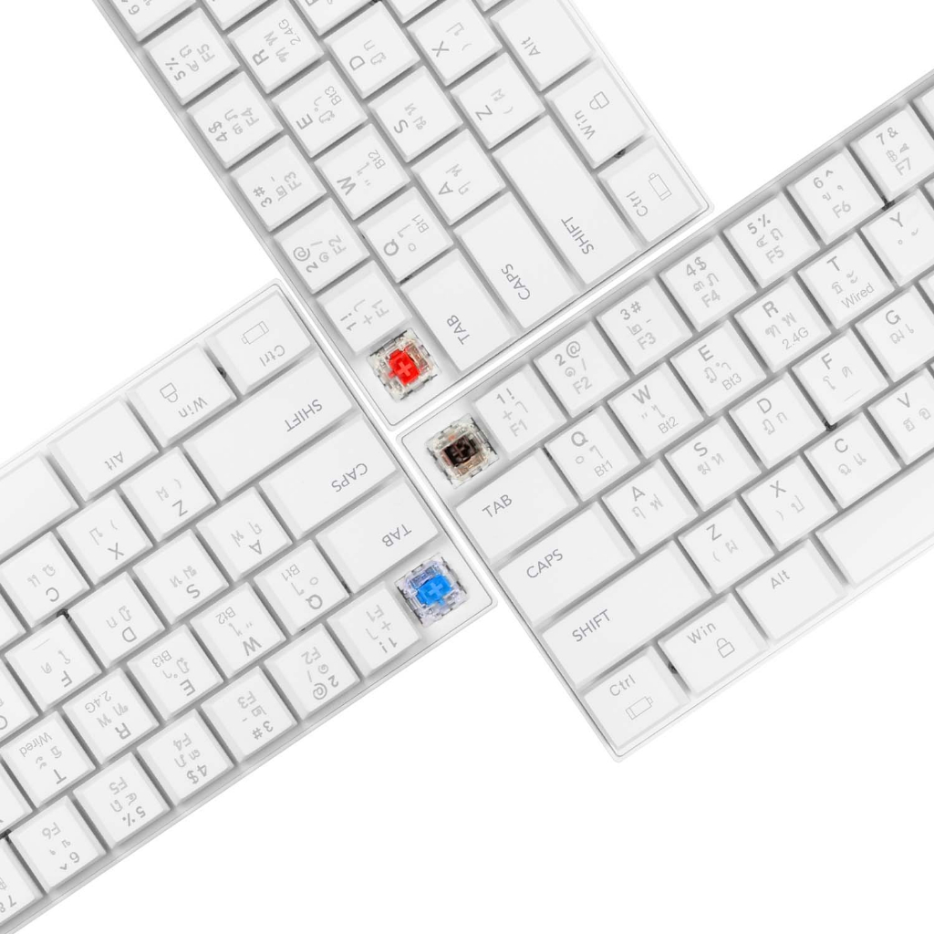TSUNAMI MKS-68 max68%ไร้สาย Mechanical 68 ปุ่ม คีย์บอร์ด RGB เกมส์มิ่งทั้ง BLUE RED BROWN มีสองสี ประกัน 2 ปี
