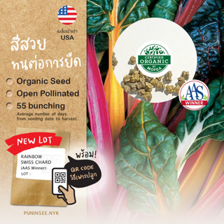 🏅เมล็ดนำเข้า เรนโบว์ สวิสชาร์ด Rainbow Swiss Chard (Organic Seed) AAS สายพันธุ์นี้มีรางวัล