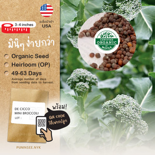 เมล็ดนำเข้า เบบี้ มินิบล็อคโคลี Mini Broccoli (Organic Seed) Sprouting พันธุ์​เบา Heirloom