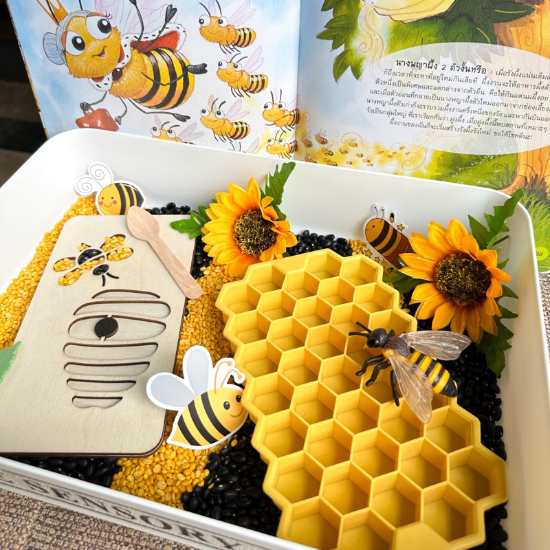 🐝Bee Sensory play กล่องกิจกรรม เรียนรู้วงจรชีวิตผึ้ง โมเดลผึ้ง (ได้ทั้งเซ็ตในภาพ)