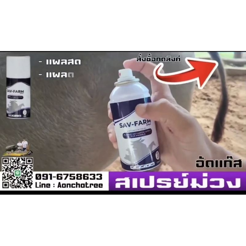 สเปรย์ม่วง อัดแก๊ส สำหรับสัตว์ 175 มิลลิลิตร  Sav-Farm ฉีดง่าย ใช้นาน