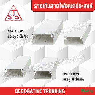 รางเก็บสายไฟอเนกประสงค์ NANO ยาว 1 เมตร (6เส้น/มัด และ 2เส้น/มัด) -สีขาว