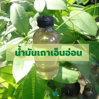 น้ำมันเถาเอ็นอ่อนสกัด ขนาด 100 กรัม แถมฟรีสูตรทำน้ำมันนวดสมุนไพรต่างๆ