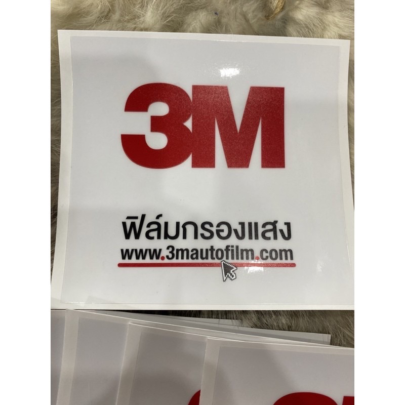 💿แผ่นติด พรบ. สูญญากาศ 🚙 3M สำหรับติดกระจก แปะง่าย ลอกออกง่าย ไม่ทิ้งคราบกาว
