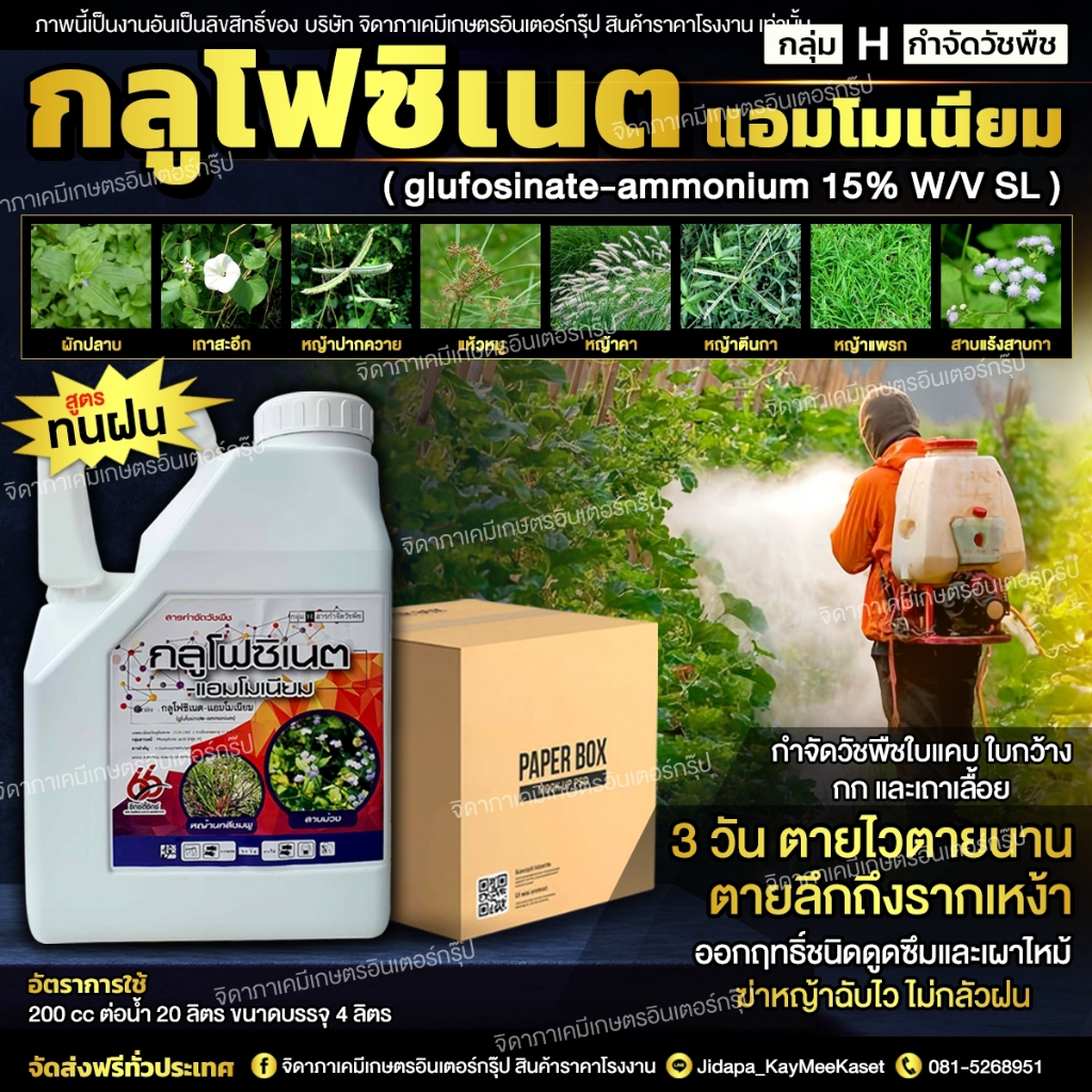 (ยกลัง6แกลอน)กลูโฟซิเนตแอมโมเนียม 15% W/V SL สูตรทนฝน (4 ลิตร)ยาฆ่าหญ้าชนิดเผาไหม้ กำจัดได้ทั้งใบแคบและใบกว้างเถาเลื้อย