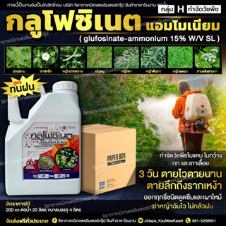 (ยกลัง6แกลอน)กลูโฟซิเนตแอมโมเนียม 15% W/V SL สูตรทนฝน (4 ลิตร)ยาฆ่าหญ้าชนิดเผาไหม้ กำจัดได้ทั้งใบแคบและใบกว้างเถาเลื้อย