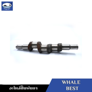 WHALE BEST เพลาข้อเหวี่ยง อะไหล่ปั๊มพ่นยา รุ่น LS-30C,LS-36C #11