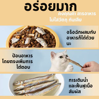 ขนมแมว ปลาแมว ปลาอบแห้งแมว ไม่เติมเกลือ ขนมกินไม่อ้วน ปลอดภัยต่อไต โปรตีนสูงตัว สดใหม่ ขนม สุขภาพ 50 กรัม ขนมแมวฟรีซดรา