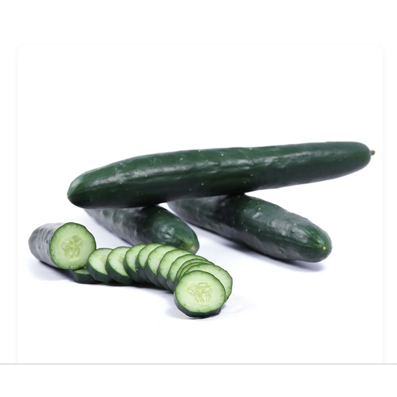 แตงกวาญี่ปุ่น (Japanese Cucumber) สดใหม่ พร้อมส่ง