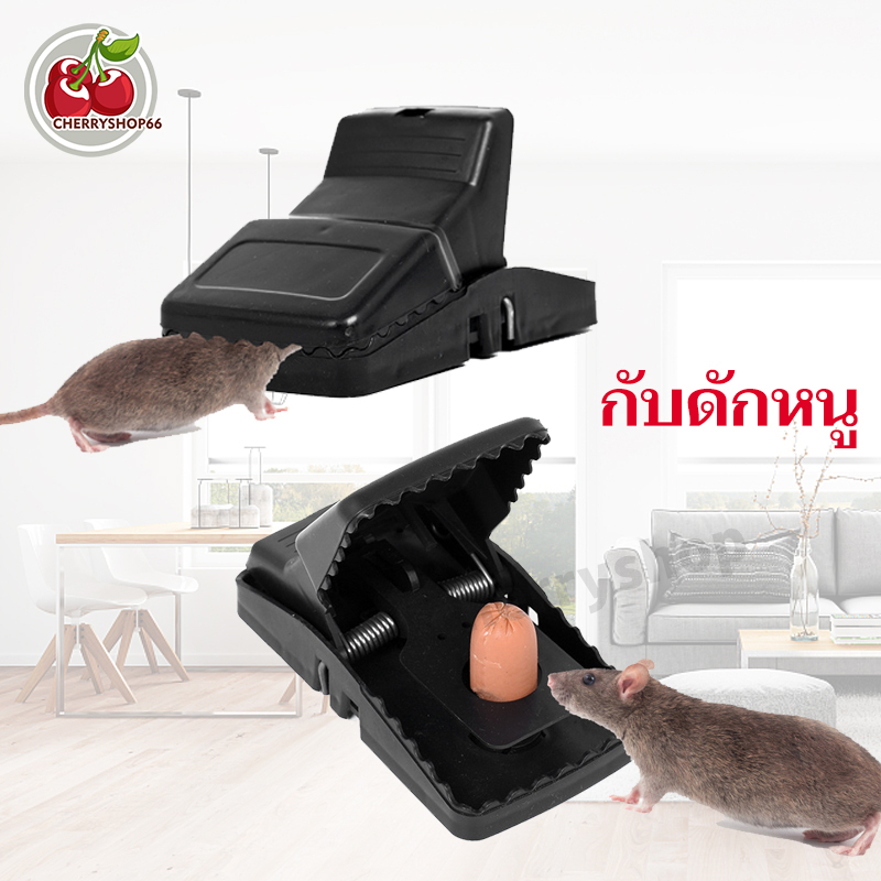 ที่ดักหนู แบบสปริง กับดักหนู อุปกรณ์ดักหนู กับดักหนูบ้าน กับดักหนูสปริง เหยื่อดักหนู ความไวส ไม่ต้องใช้สารเคมี