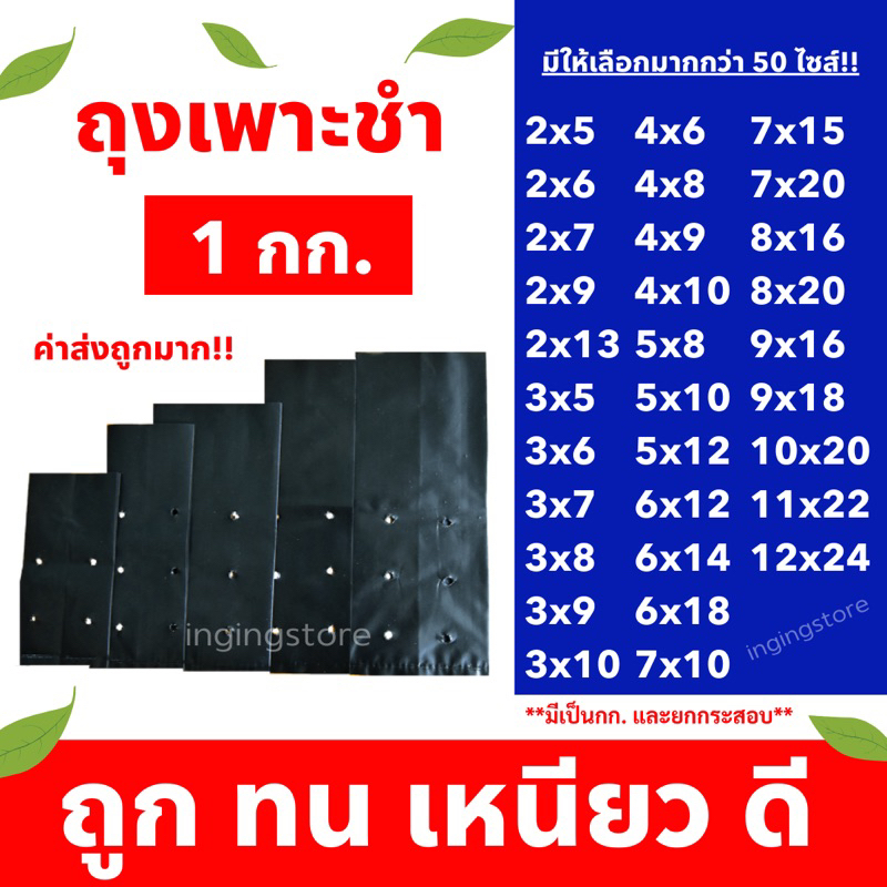🔥ราคาส่ง ถุงเพาะชำ ถุงเพาะต้นกล้า ถุงเพาะต้นไม้ เจาะรู เนื้อเหนียว ทน ไม่ขาดง่าย