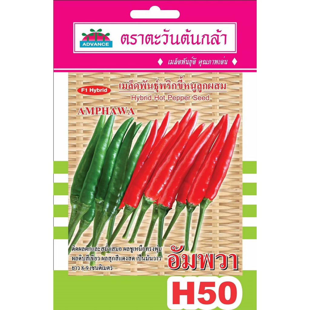 เมล็ดพริกขี้หนู อัมพวา จำนวน 80เมล็ด