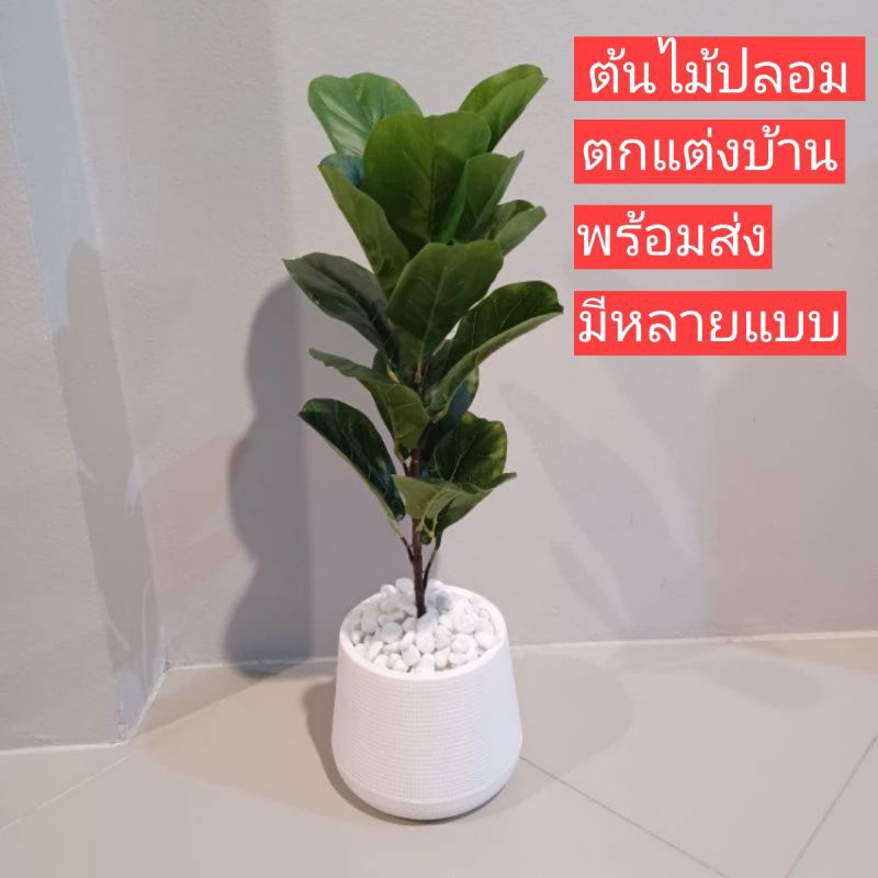ต้นไม้ปลอม ไทรใบสัก ปลอม ต้นไม้ประดับบ้าน