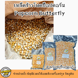 เมล็ดป๊อบคอร์น Popcorn เมล็ดข้าวโพดสำหรับทำป็อปคอร์น (butterfly) บัตเตอร์ฟราย