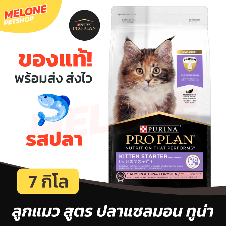 Purina Pro Plan Kitten Starter โปรแพลน อาหารลูกแมว สูตร ปลา ทูน่า แซลมอน ขนาด 7kg