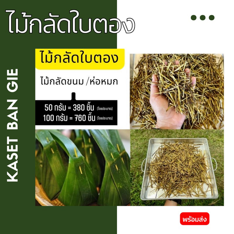 ไม้กลัดใบตอง ทำจากก้านมะพร้าว ใช้กลัดห่อขนม ห่อหมก ทำกระทง Kaset Ban Gie