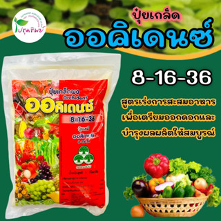 ปุ๋ยเกล็ด ออคิเดนซ์ 8-16-36 สูตรเร่งการสะสมอาหารเพื่อเตรียมออกดอก และบำรุงผลผลิต ขนาด 1 กิโลกรัม