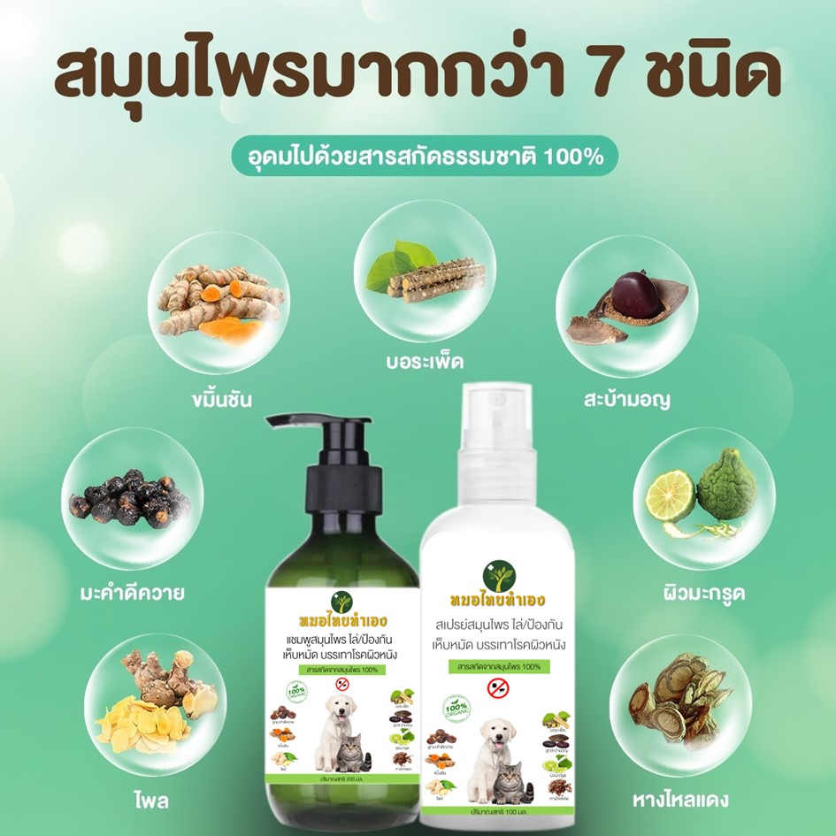 รูปภาพ 9