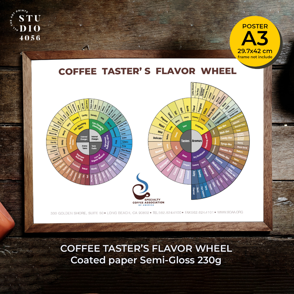 THE COFFEE TASTER'S FLAVOR WHEEL POSTER SCA (001) size A3 Unframed!