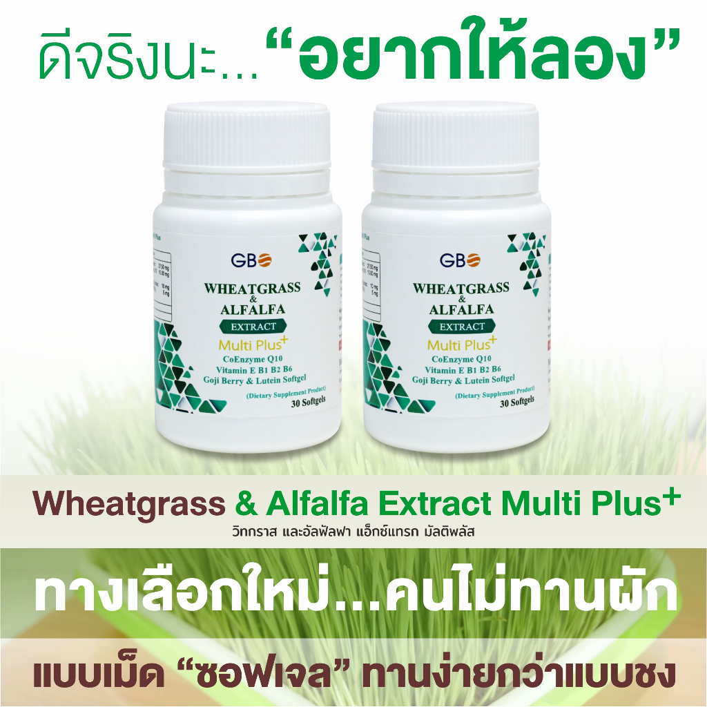 ** โปร 2 กระปุก 60 เม็ด ** ผักเม็ด Wheatgrass & Alfalfa Extract Multi Plus+ Q10 (ฟรีค่าส่ง)