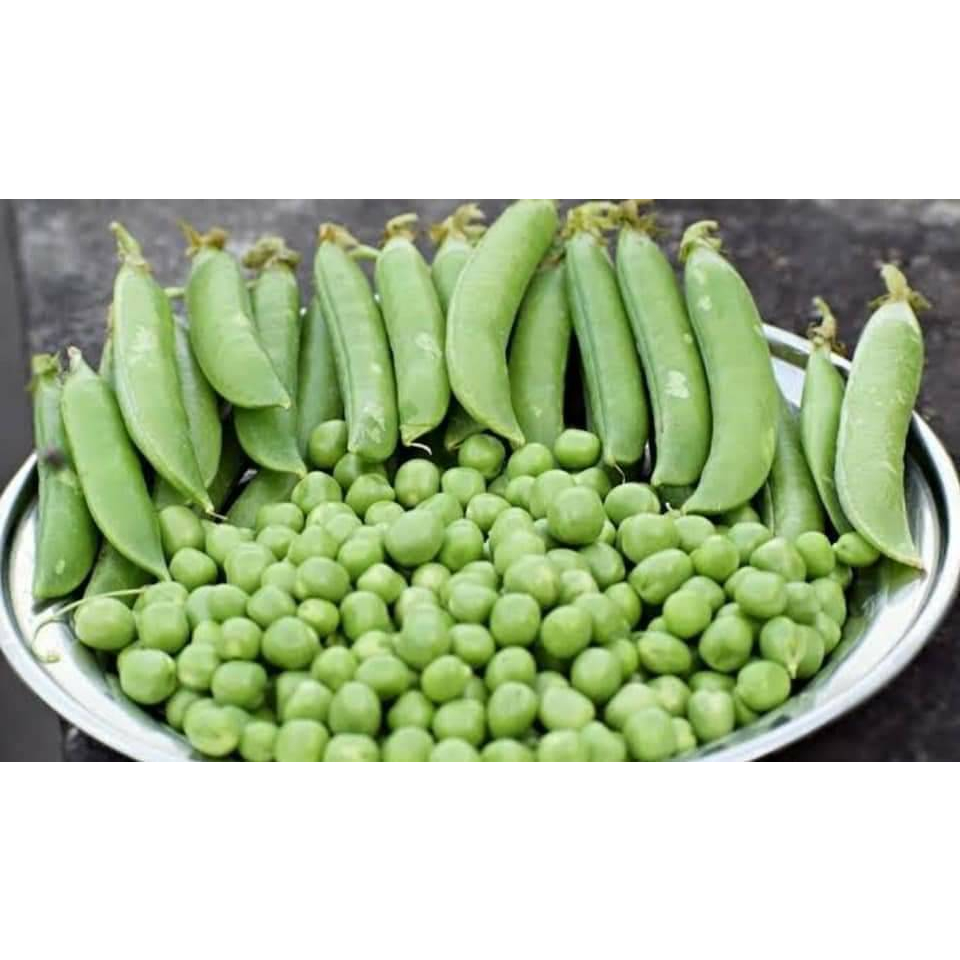 ต้นกล้าถั่วลันเตา กล้าละ 8 บาท ซื้อ 10 แถม 2กล้า