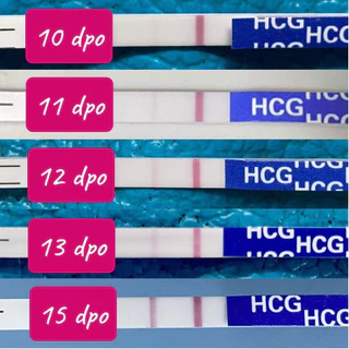 ClearDI ที่ตรวจครรภ์ แบบจุ่ม 10 MIU ตรวจจับไว HCG