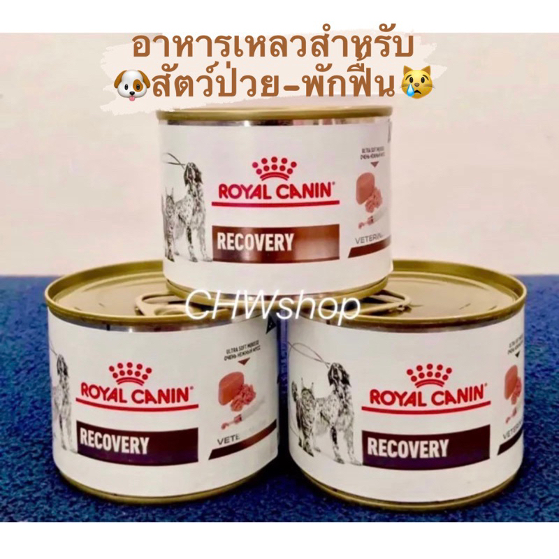 *แพ็ค1-5กระป๋อง* Royal Canin Recovery อาหารสัตว์ป่วย พักฟื้น บำรุงสุขภาพ