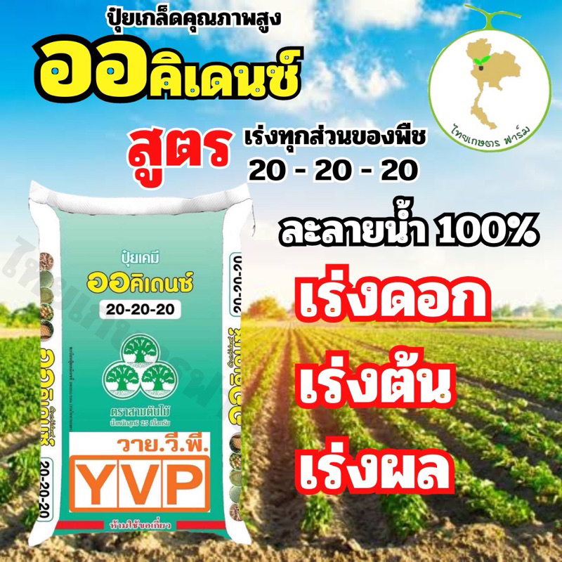 ปุ๋ย 20-20-20 แบ่งขาย 1 กก. ปุ๋ยเกล็ดออคิเดนซ์ระบบน้ำ ปุ๋ยละลายน้ำ(เร่งทุกส่วนพืช) 🍅🥒