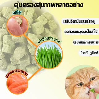 หญ้าแมวฟรีซดราย 50g ฟรีซดราย ขนมหญ้าแมว ขนมแมว ลดก้อนขน เม็ดหญ้าแมว ไม่ต้องปลูก ดีต่อสุขภาพ บำรุงขน