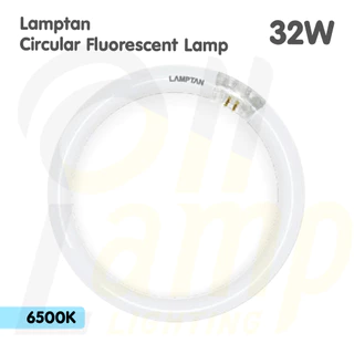 Lamptan หลอดนีออนกลม 32W Circular Fluorescent Lamp แสงเดย์ไลท์ 6500K ขั้วหลอดมาตรฐาน G10q HALO