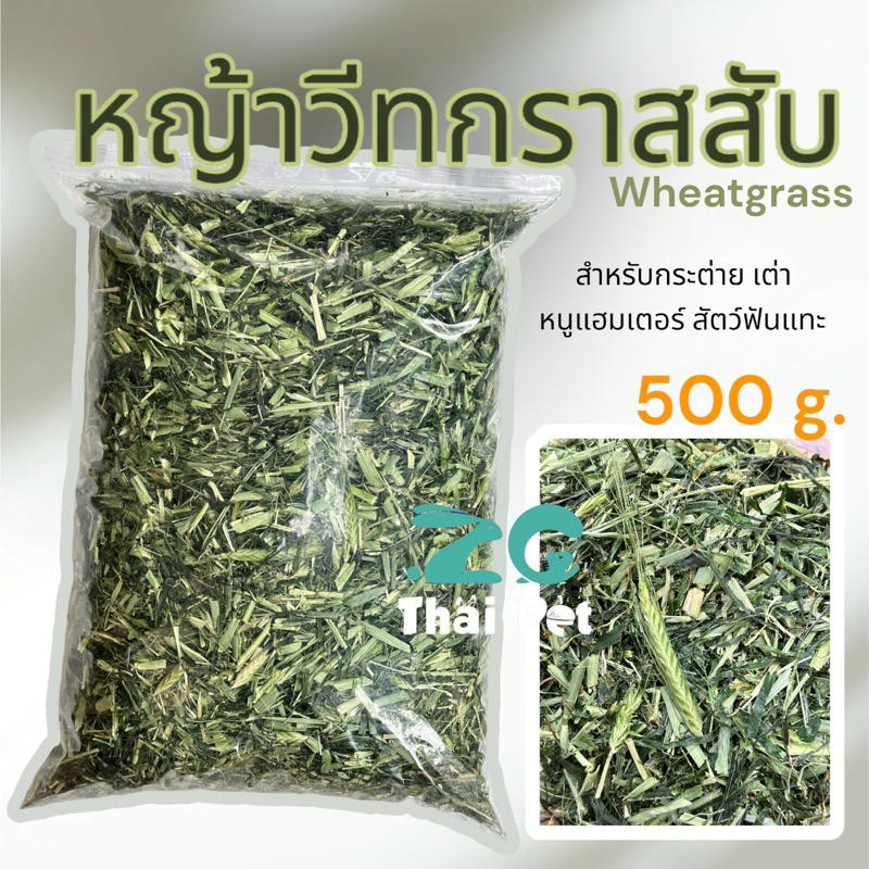 [ZC] ต้นข้าวสาลีสับ หญ้าวีทกราสสับ หญ้าสำหรับกระต่าย เต่า หนูแฮมเตอร์ สัตว์ฟันแทะ ขนาด 500 g.